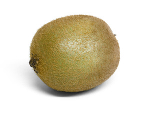 Fototapeta premium kiwi fruit