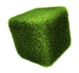 Grass Cube