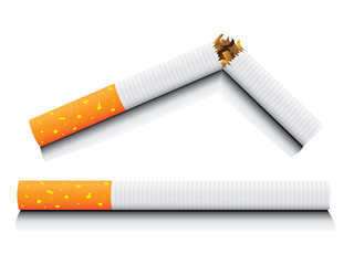 vector isolated normal and broken cigarette