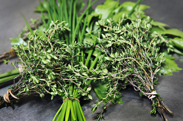 Gartenkräuter