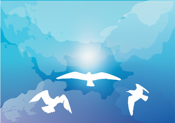 three seagulls in cloud sky