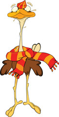 Ostrich. Cartoon