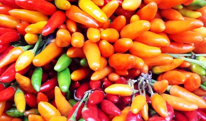  Colorful hot peppers © vali_111