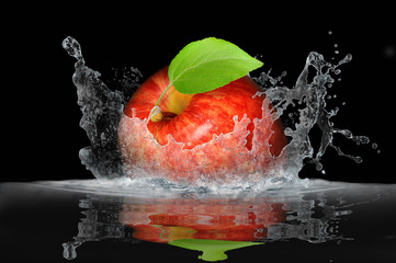 Obst 453