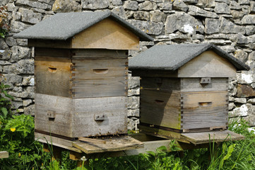 Beehive
