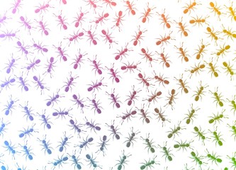 Ants background