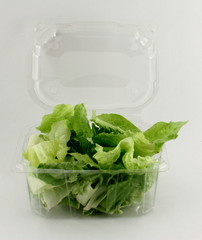 insalata romana pronta per l'uso in contenitore