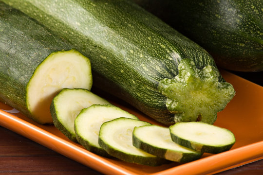 Zucchina - Cucurbita pepo