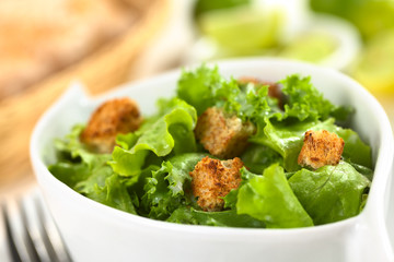 Fresh lettuce with a yogurt and lime juice dressing