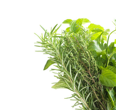 Herbs with copyspace