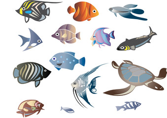 Underwater marine life with fish