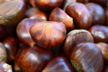Obraz premium Heap of sweet chestnuts