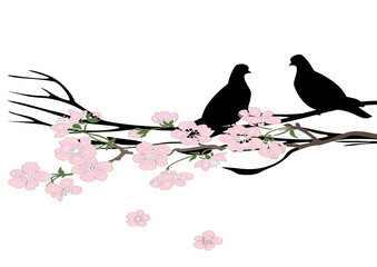 Deux oiseaux d& 39 amour au printemps assis dans un cerisier en fleurs