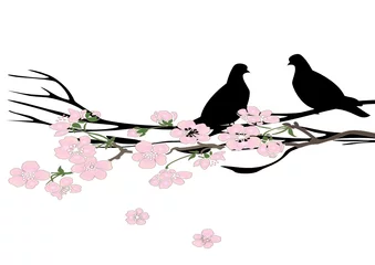 Papier Peint photo Lavable Oiseaux en cages Deux oiseaux d& 39 amour au printemps assis dans un cerisier en fleurs