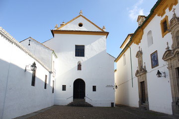 Fototapeta na wymiar Kościół smutki w Kordobie