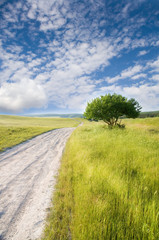 Road amongst green meadow