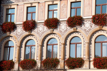okna z pelargoniami