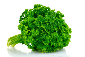 fresh bunch of parsley isolated on white