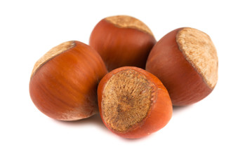 Four ripe brown hazelnuts