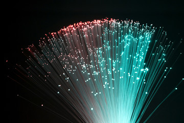 plastic optical fibers