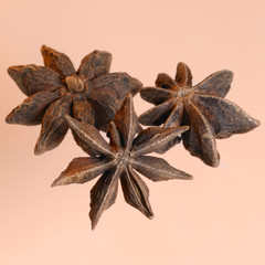 star-anise in light back