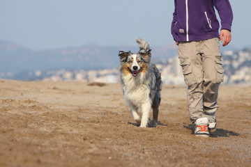 Naklejka na ściany i meble jeune garçon se promenant sur la plage avec son chien
