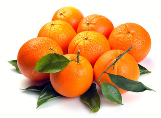 group orange