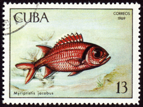Fish Myripristis jacobus on post stamp