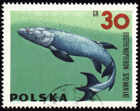 Prehistoric fish Eusthenopteron on post stamp