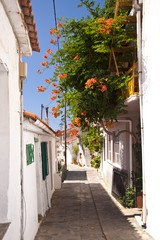 Fototapeta na wymiar Street scene w Manolates na Samos