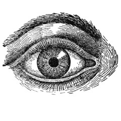 Oeil