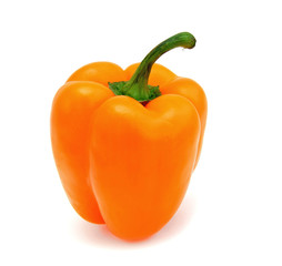 Sweet pepper