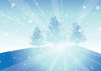 Fototapeta na wymiar rays trees and snow