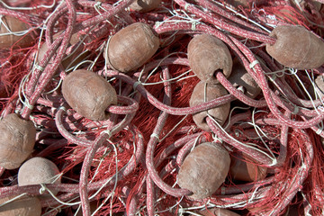 Fishing net with floats