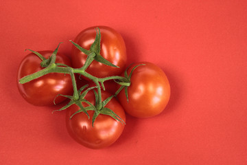 Fresh tomatoes on a red background