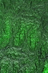 Charred green paper, texture