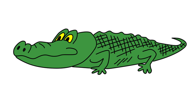 drawing green crocodile on white background