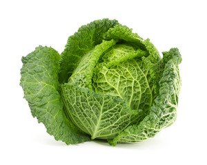 Fototapeta premium Savoy cabbage