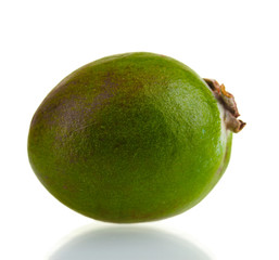 ripe feijoa fruit, isolated on white