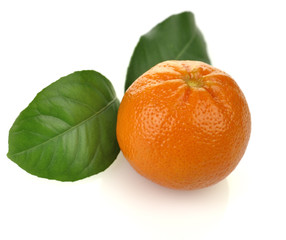 Orange Fruit