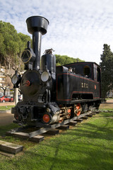 Naklejka premium tren