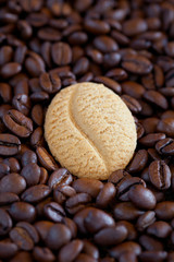 Coffee bean cookie