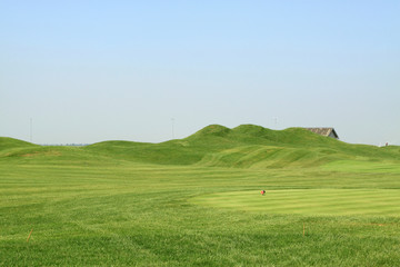 Naklejka premium grass on the golf course