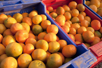 Oranges and tangerines