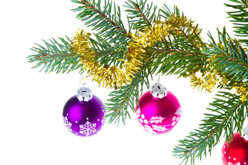 christmas balls on spruce branch