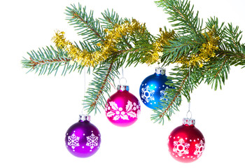 Fototapeta na wymiar christmas balls on spruce branch