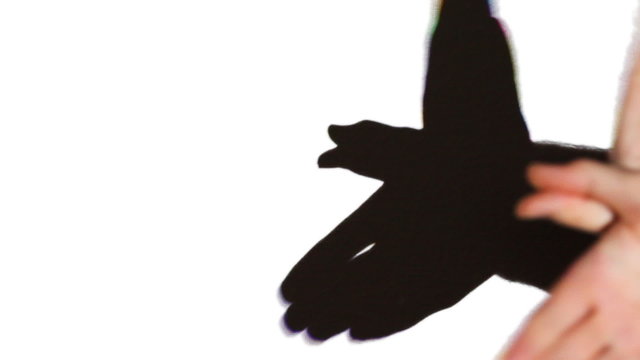 shadow in form of bird that flutters on white wall