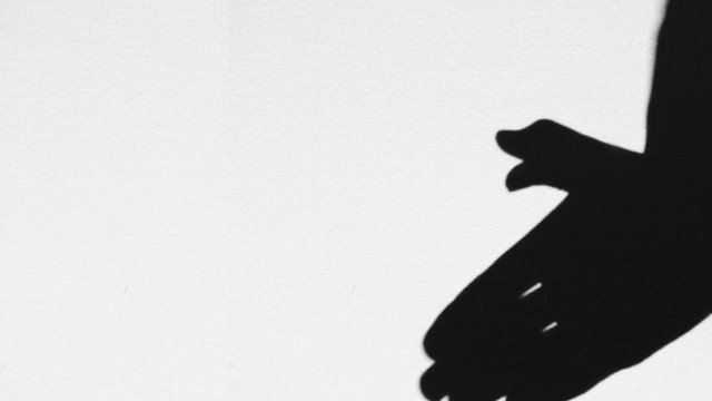 hands make shadow in form of bird that flutters on white