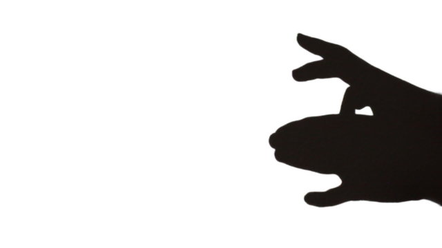 hands make shadow in form of dog that runs on white