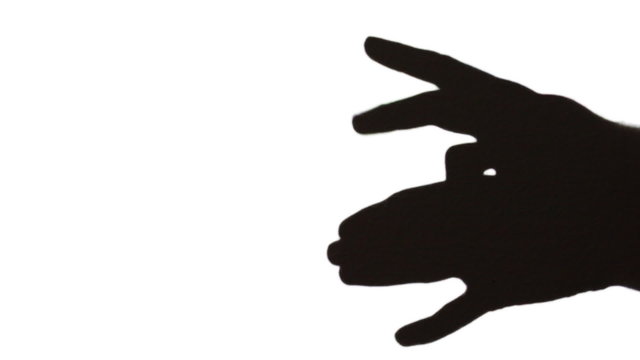 hands make shadow in form of wolf that runs on white
